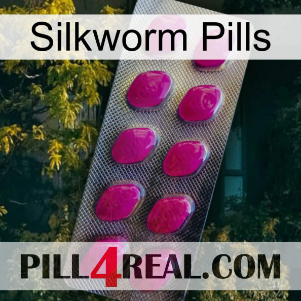 Silkworm Pills 09.jpg